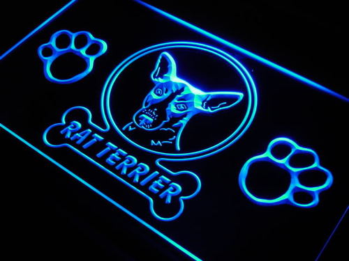 Rat Terrier Dog Pet Shop Paw Neon Light Sign